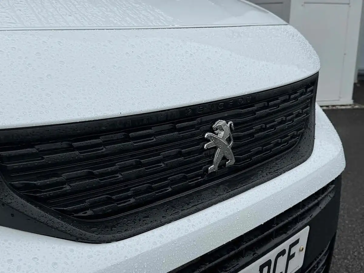 2019-peugeot-partner-15-bluehdi-1000-professional-100ps-eu6dt-panel-big-7