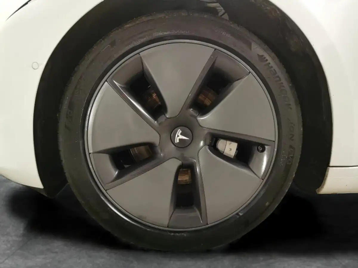 2021-tesla-model-3-e-standard-plus-big-20