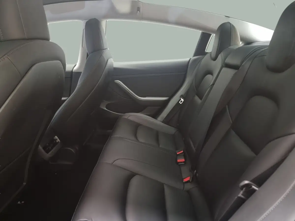 2021-tesla-model-3-e-long-range-awd-big-35