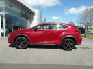 2019-lexus-nx-300h-25-nx-sport-pack10in-navigation-small-7