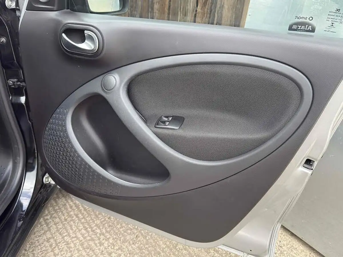 2015-smart-forfour-10-prime-ss-big-14