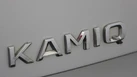 2021-skoda-kamiq-10-tsi-se-109ps-dsg-small-19
