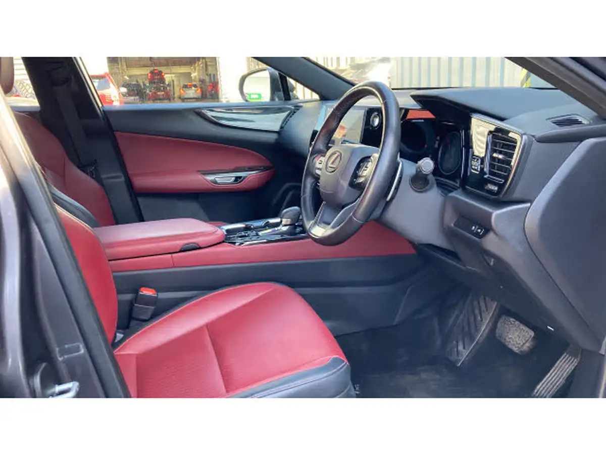2022-lexus-nx-450h-25-nx-pack-big-10