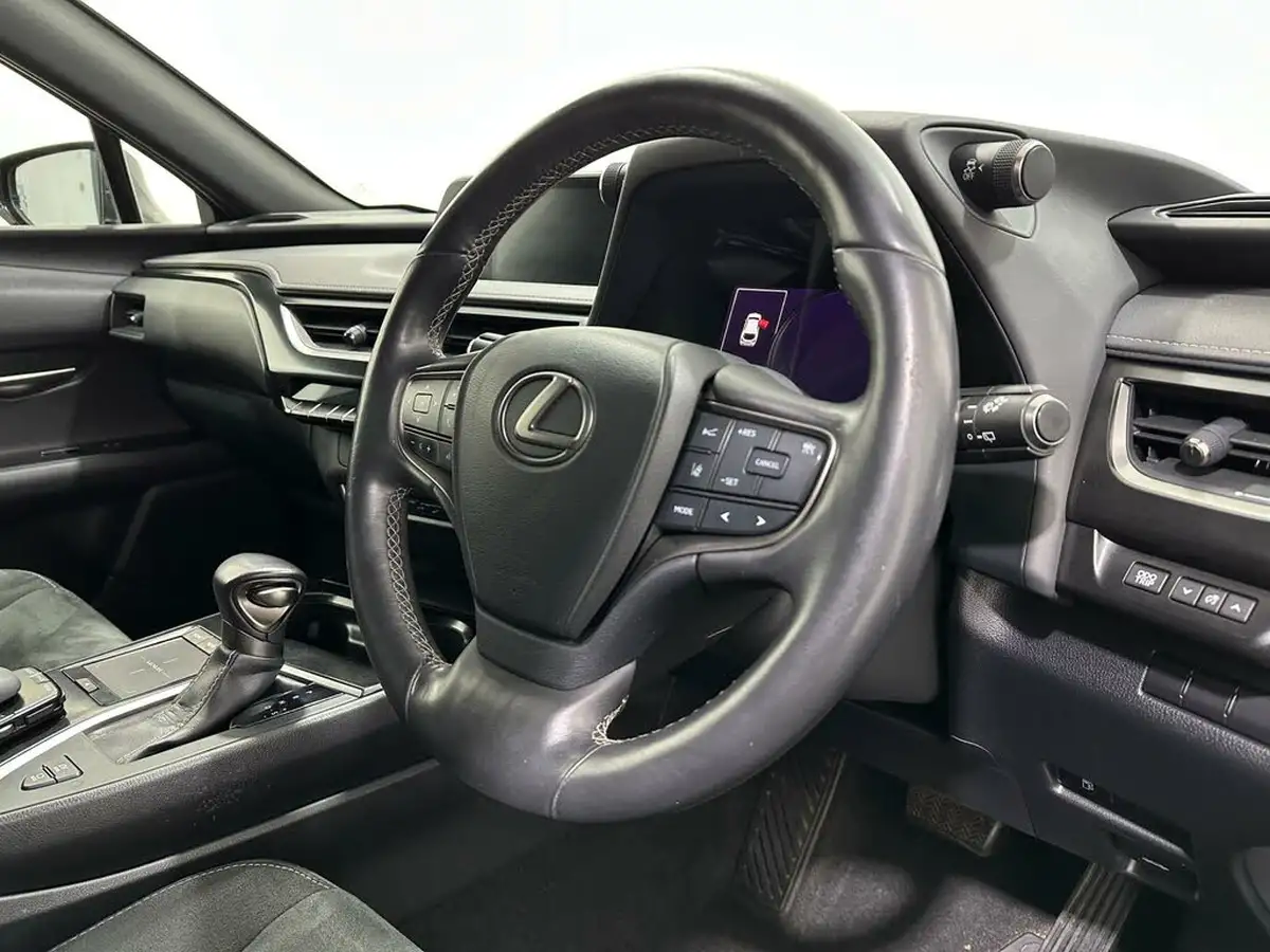 2019-lexus-ux-250h-20-ux-premium-pack-big-8