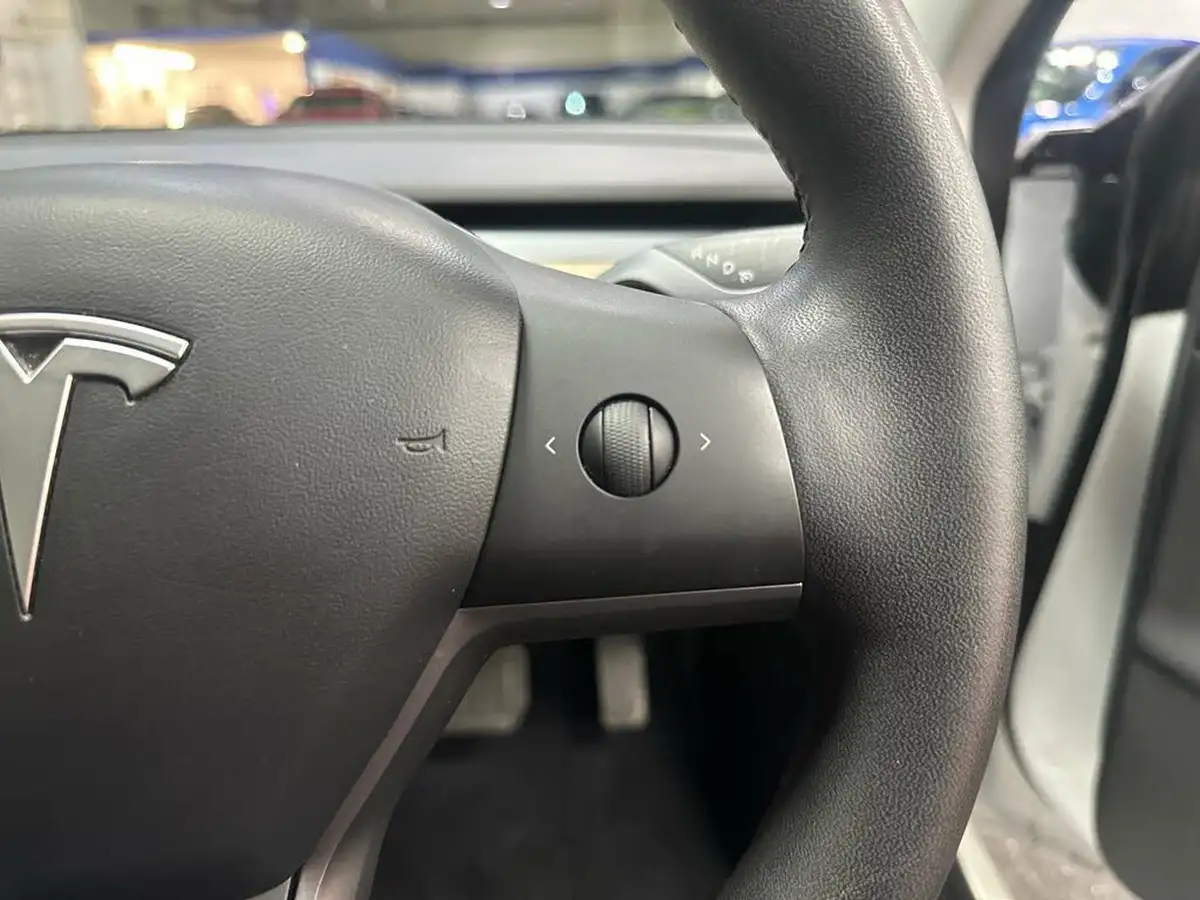 2020-tesla-model-3-e-standard-plus-big-45