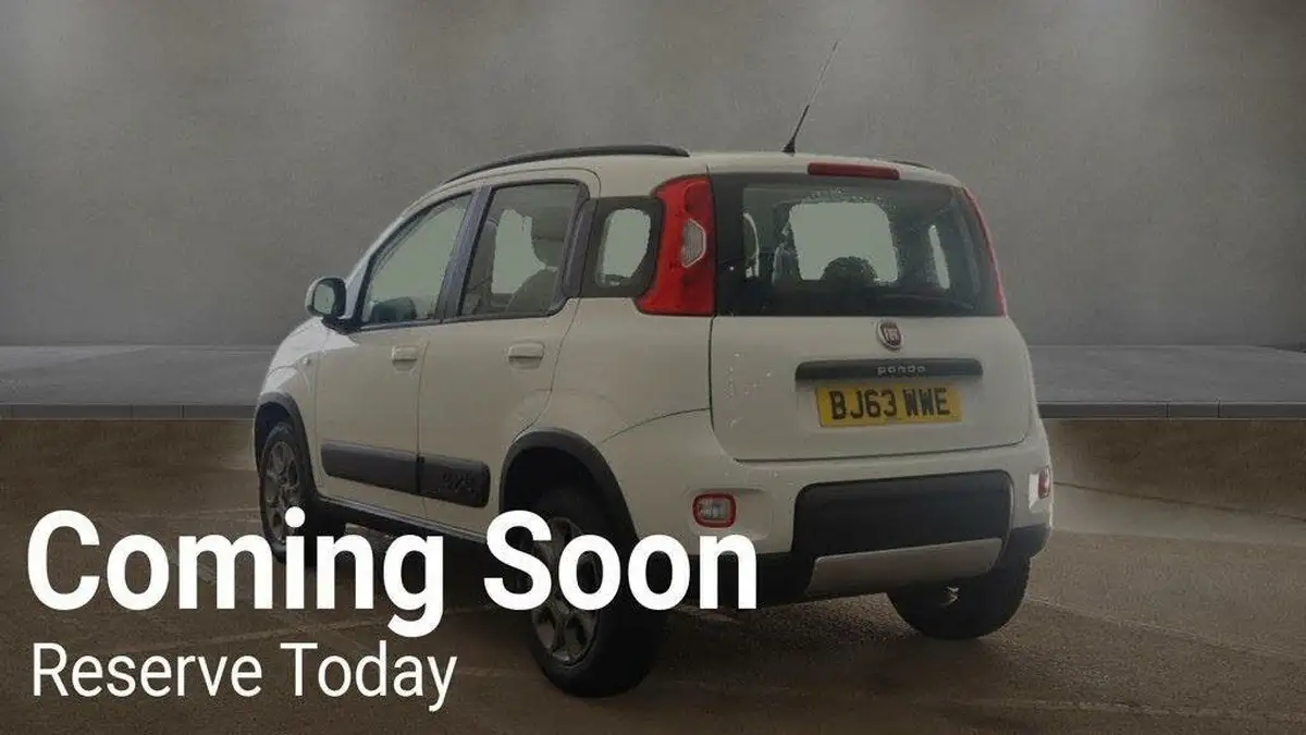2014-fiat-panda-09-4x4-big-4