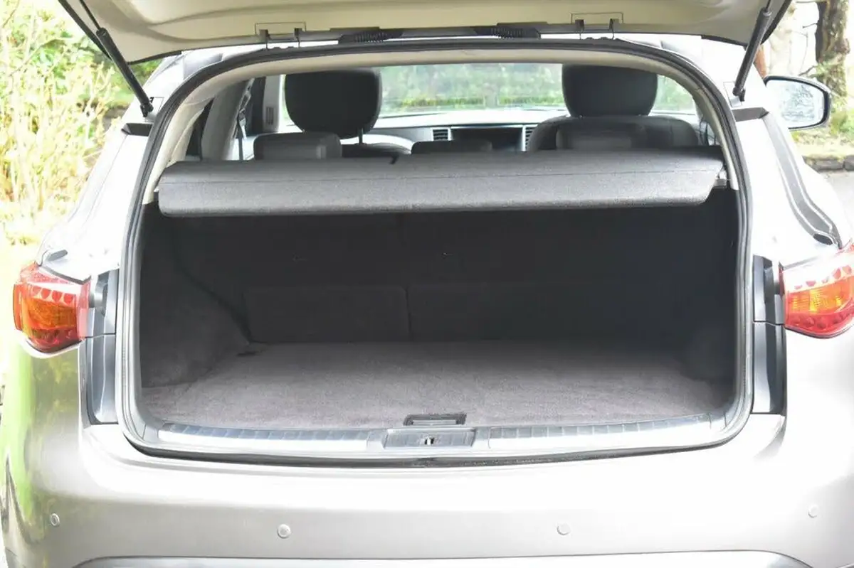 2010-infiniti-fx-50-s-le-big-22