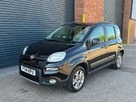 2014-fiat-panda-09-4x4-small-9