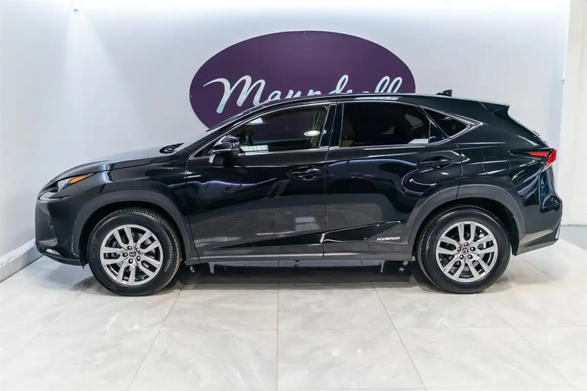 2019-lexus-nx-300h-25-nx-premium-pack-big-2