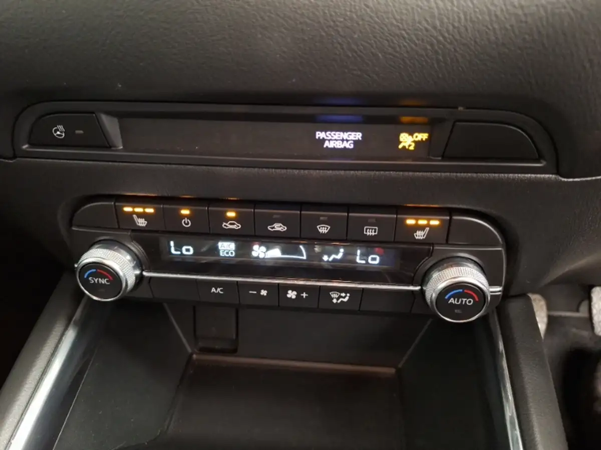 2024-cupra-ateca-15-ecotsi-v2-big-14