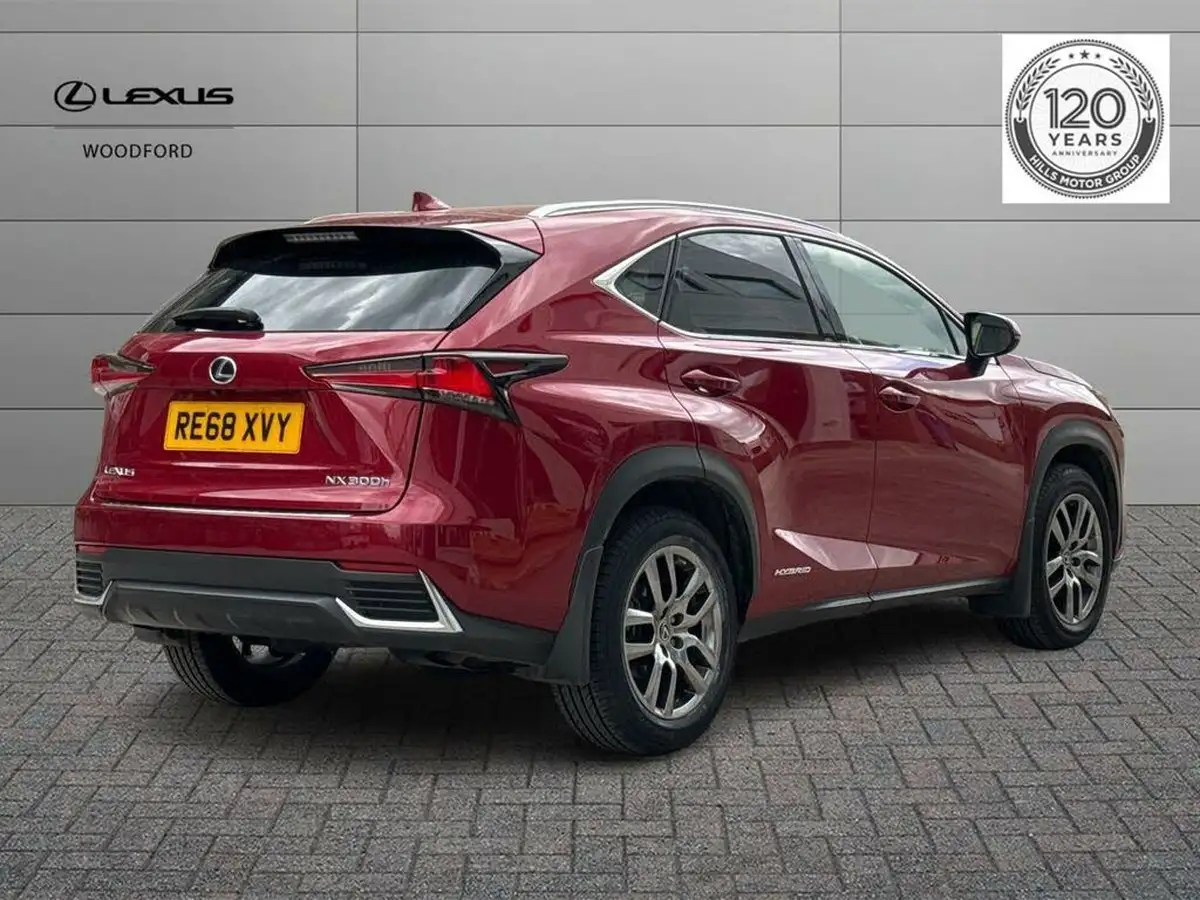 2019-lexus-nx-300h-25-luxury-big-2