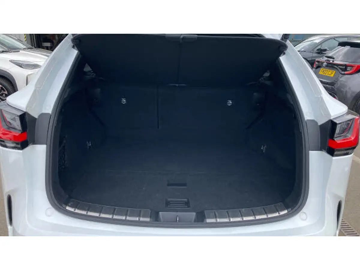 2022-lexus-nx-450h-25-f-sport-premium-plus-pack-big-13