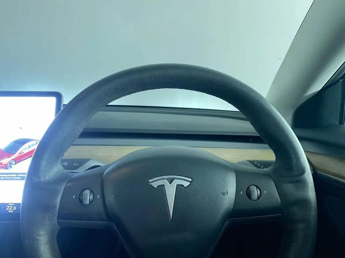 2021-tesla-model-3-e-long-range-awd-big-21