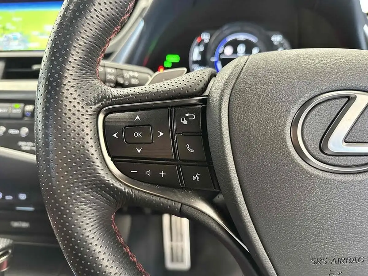 2019-lexus-es-300h-25-f-sport-takumi-pack-big-36