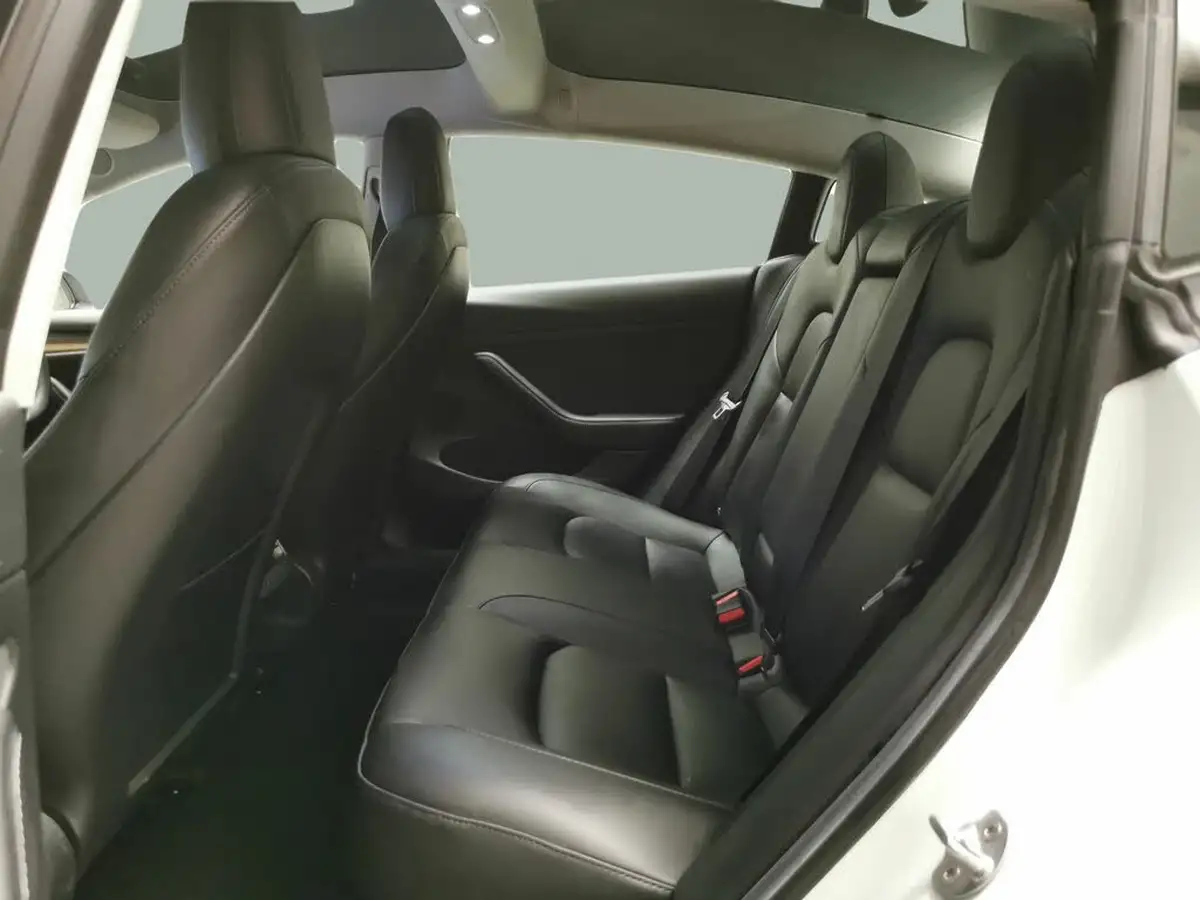 2021-tesla-model-3-e-standard-plus-big-26