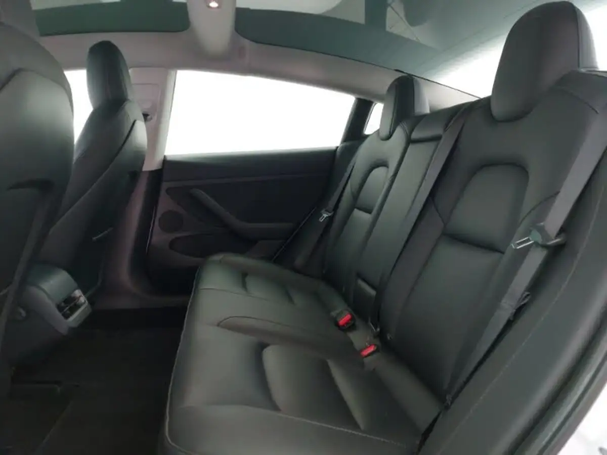 2021-tesla-model-3-e-long-range-awd-big-5