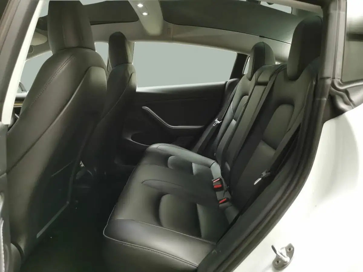 2021-tesla-model-3-e-long-range-awd-big-32