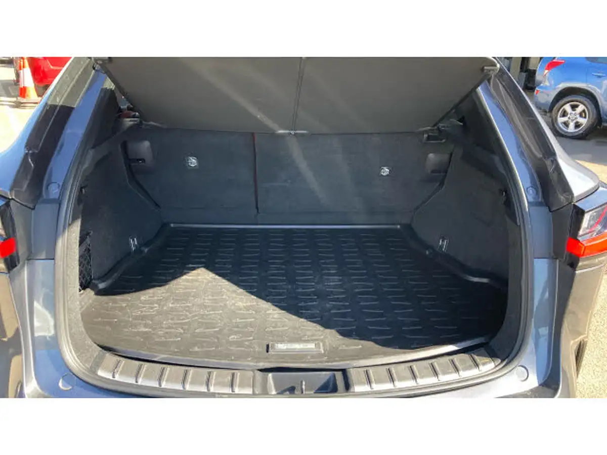 2022-lexus-nx-450h-25-nx-pack-big-13