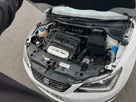 2014-seat-ibiza-14-cupra-small-20