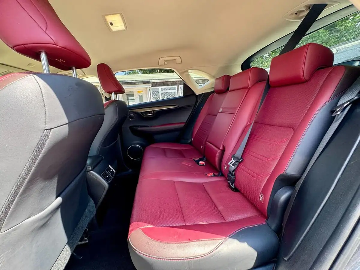 2018-lexus-nx-300h-25-luxury-p-navi-convenience-packpan-big-29