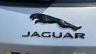 2021-jaguar-f-pace-20-d200-r-dynamic-hse-mhev-small-25
