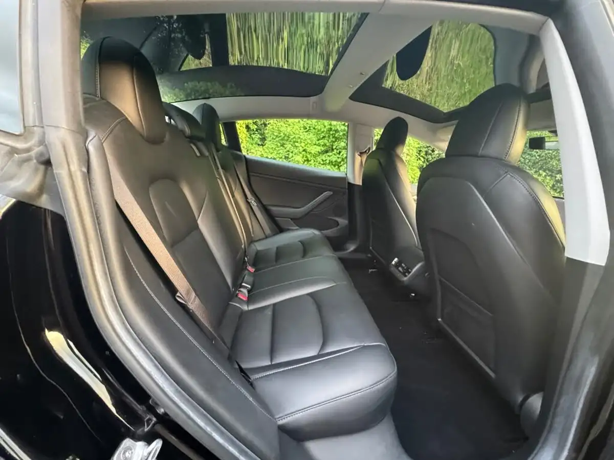 2021-tesla-model-3-e-long-range-awd-big-6