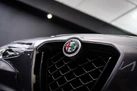 2021-alfa-romeo-stelvio-29-biturbo-quadrifoglio-small-36