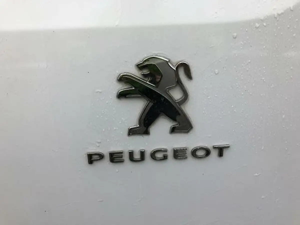 2021-peugeot-partner-15-bluehdi-1000-professional-100ps-eu6dt-panel-big-17