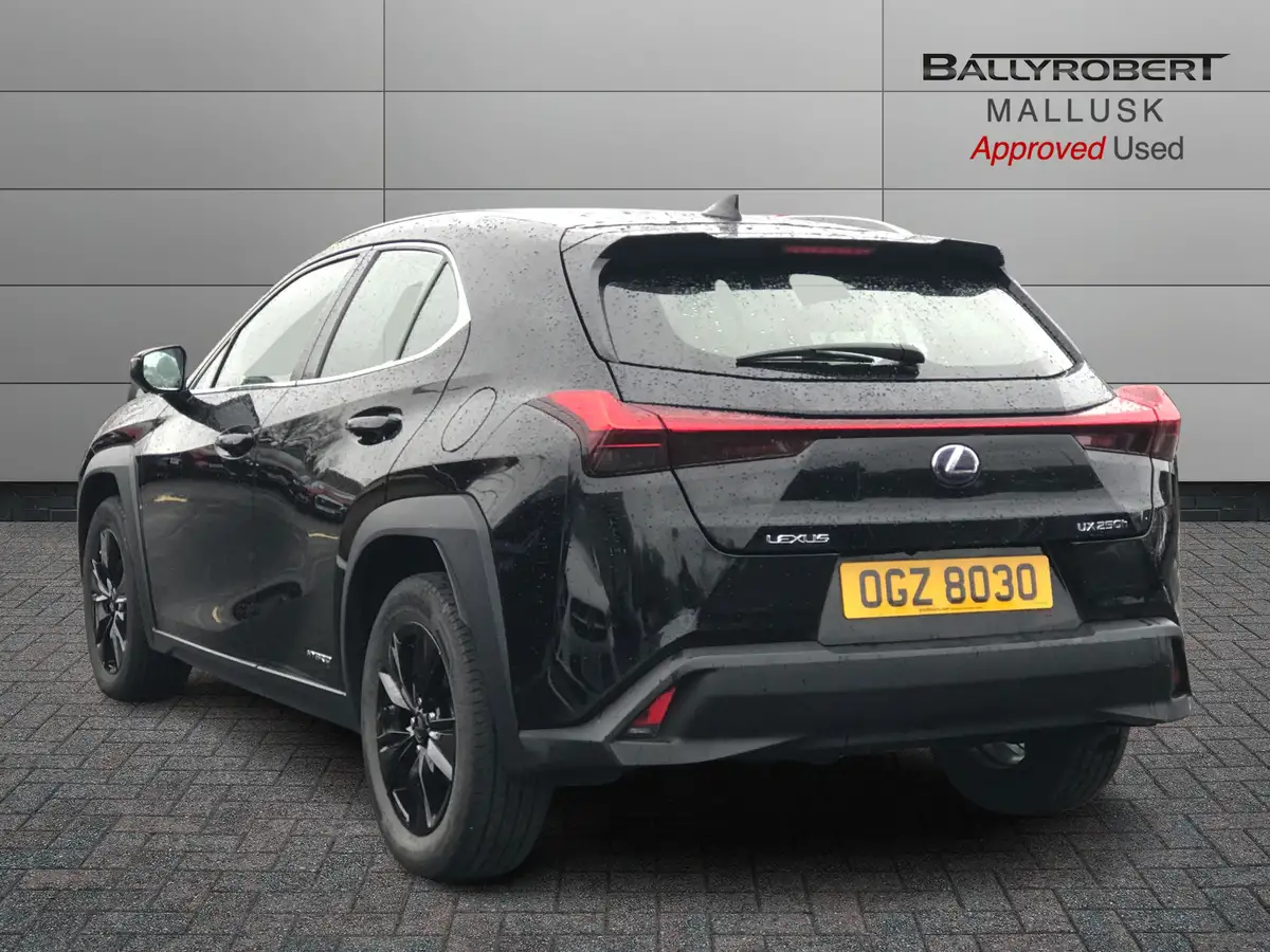 2019-lexus-ux-250h-20-ux-big-1