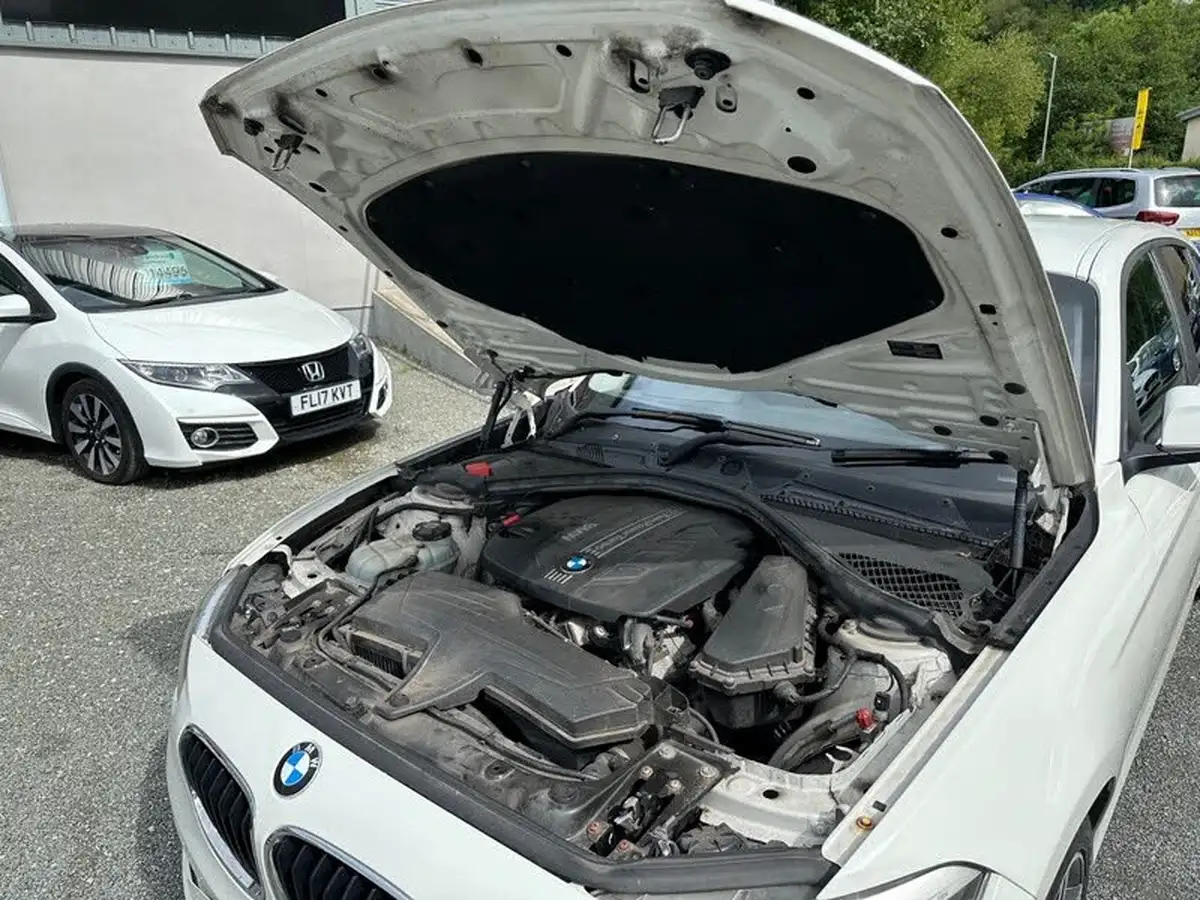 2014-bmw-1-series-20td-116d-sport-116bhp-ss-sports-hatch-5d-big-53