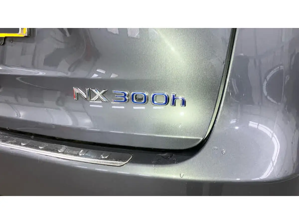 2020-lexus-nx-300h-25-takumi-sunroof-big-31