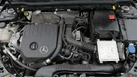 2020-mercedes-benz-a-class-13-a180-amg-line-executive-hatchback-5d-7g-dct-small-19