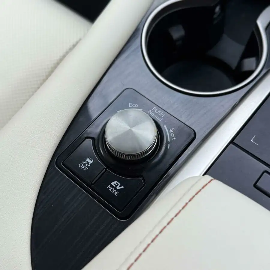 2020-lexus-rx-450h-l-35-rx-l-4wd-big-39
