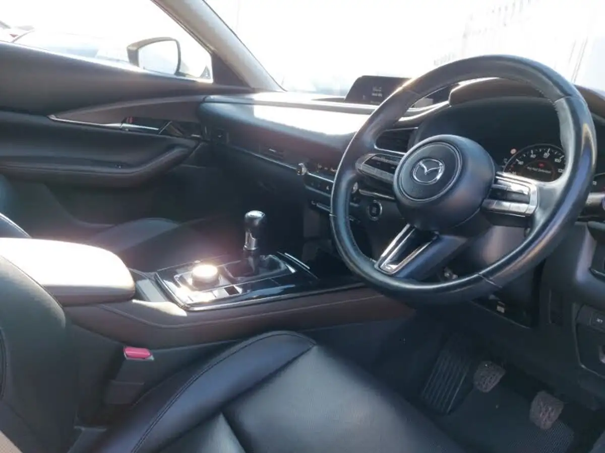 2021-mazda-cx-30-20-skyactiv-x-gt-sport-big-10