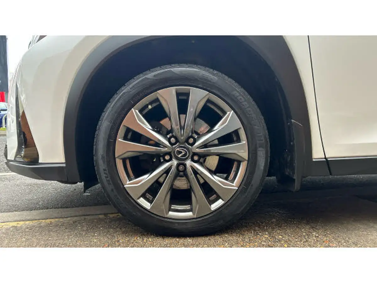 2021-lexus-ux-250h-20-f-sport-premium-pack-without-navigation-big-6
