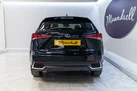 2019-lexus-nx-300h-25-nx-premium-pack-small-5