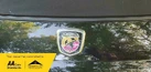 2018-abarth-595c-14-tjet-small-66