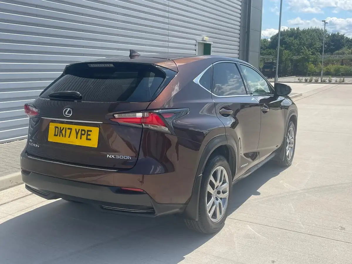 2017-lexus-nx-300h-25-luxury-big-6
