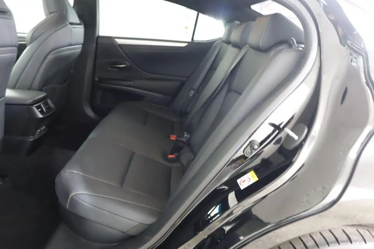 2019-lexus-es-300h-25-f-sport-big-16