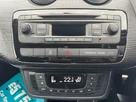 2014-seat-ibiza-14-cupra-small-33