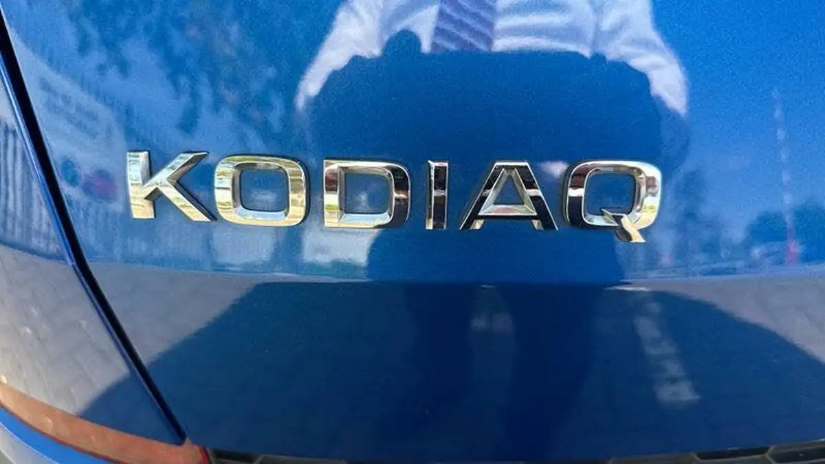 2022-skoda-kodiaq-20tdi-se-4x4-5-dsg-big-15