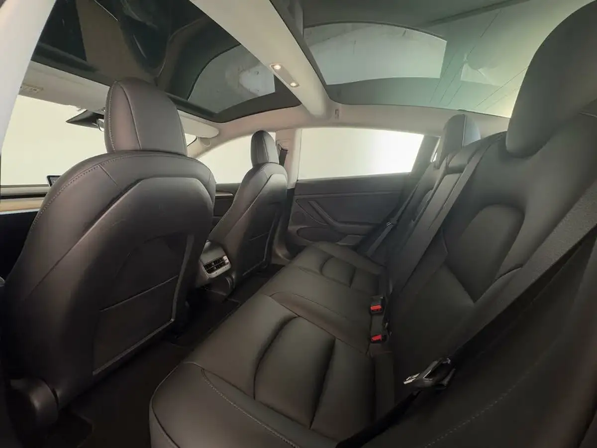 2021-tesla-model-3-e-long-range-awd-big-12