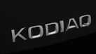 2020-skoda-kodiaq-15-tsi-se-drive-small-19