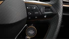 2022-cupra-formentor-20-tsi-vz2-310ps-4drive-small-23