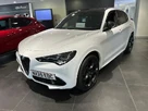 2025-alfa-romeo-stelvio-20-tributo-italiano-small-4