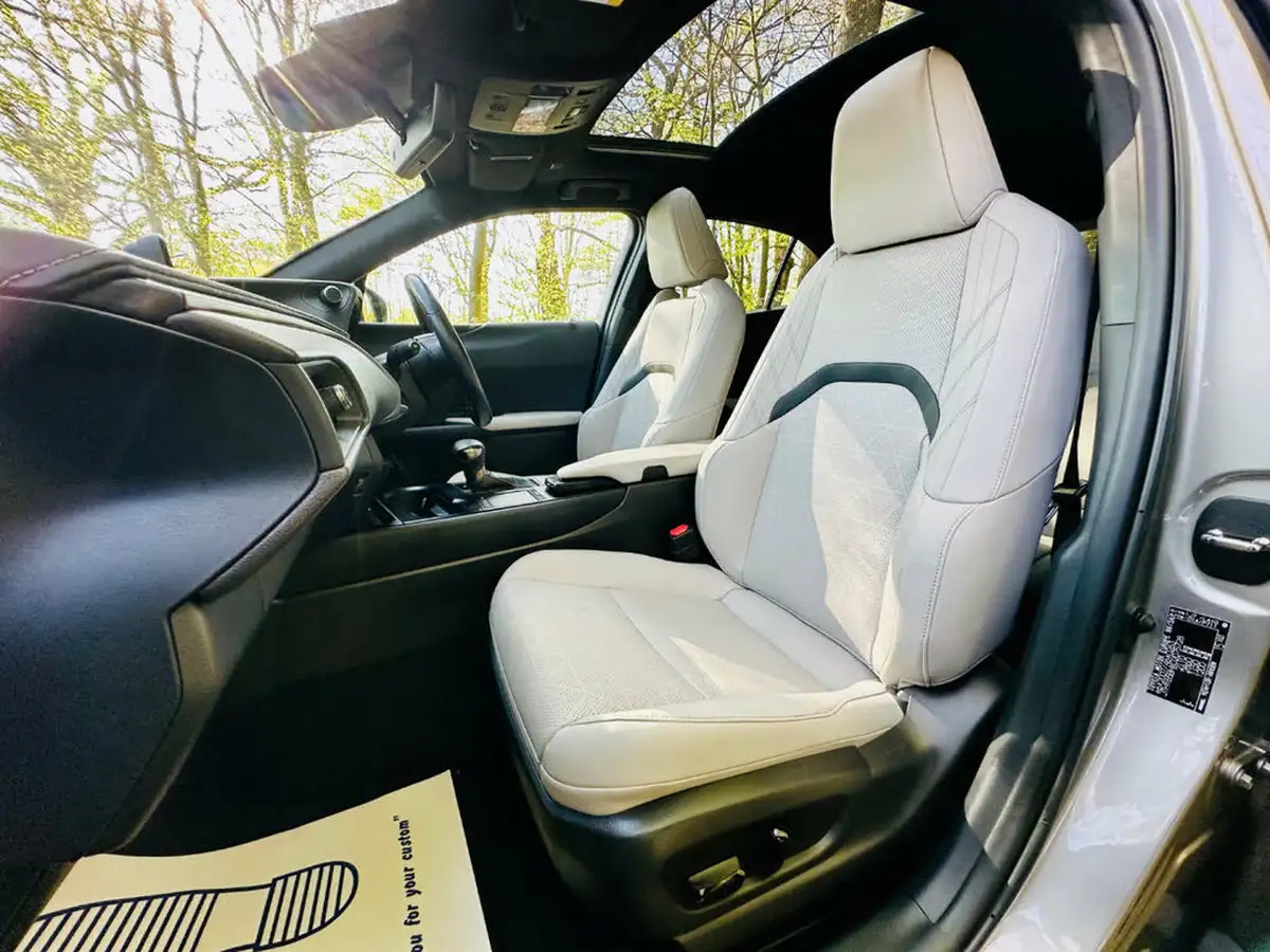 2021-lexus-ux-250h-20-takumi-big-6
