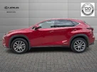 2019-lexus-nx-300h-25-luxury-small-5