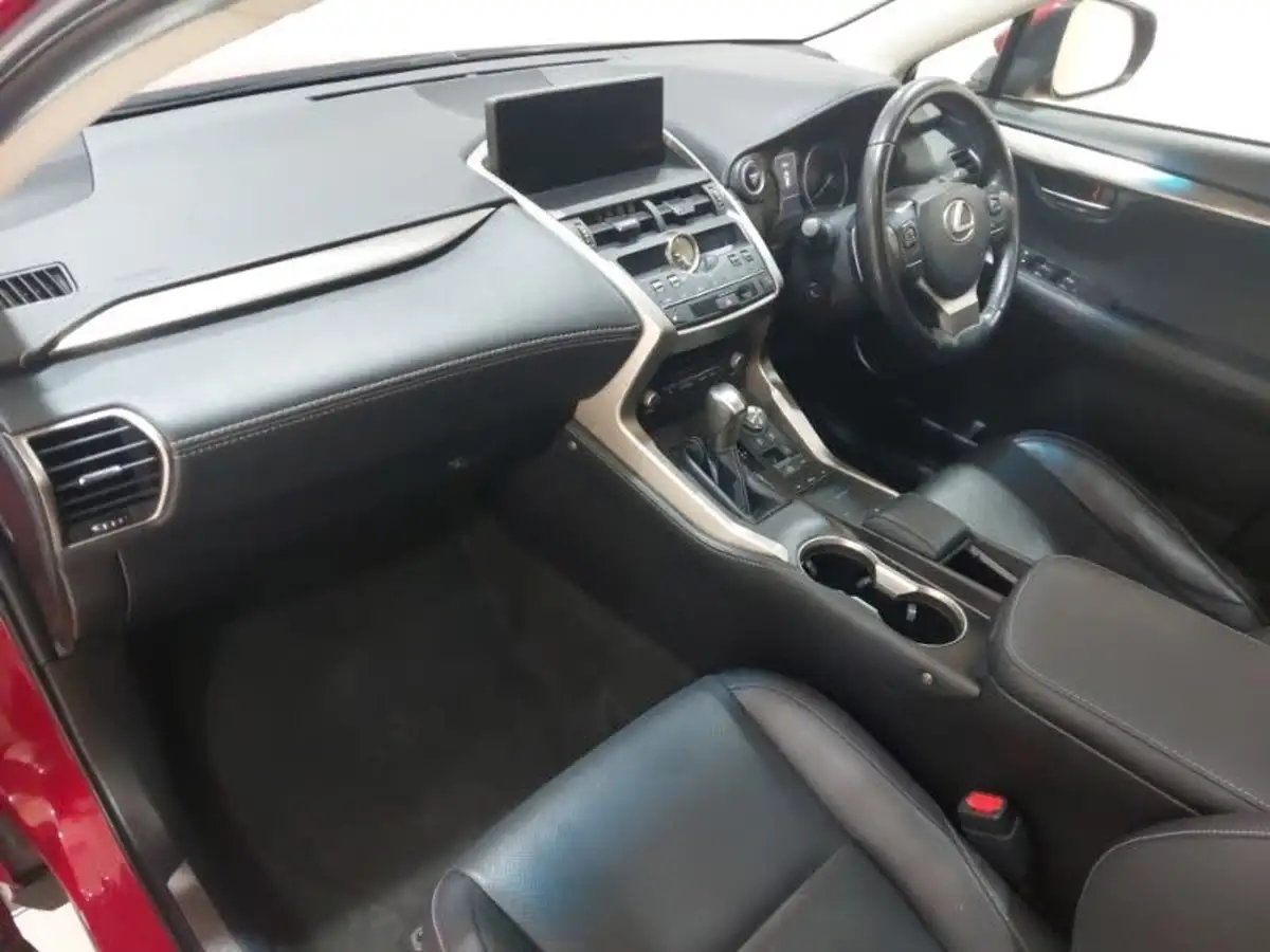 2017-lexus-nx-300h-25-luxury-big-4