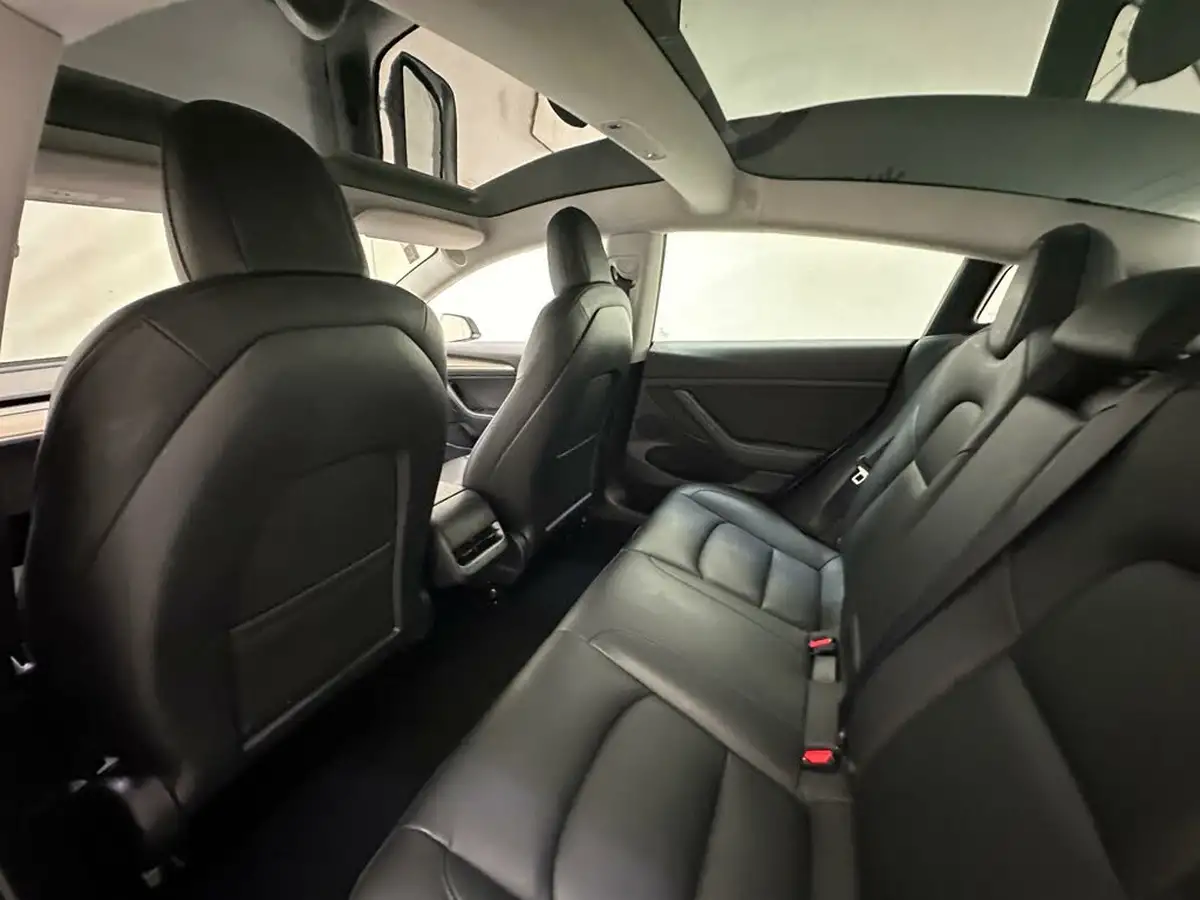 2021-tesla-model-3-e-standard-plus-big-18