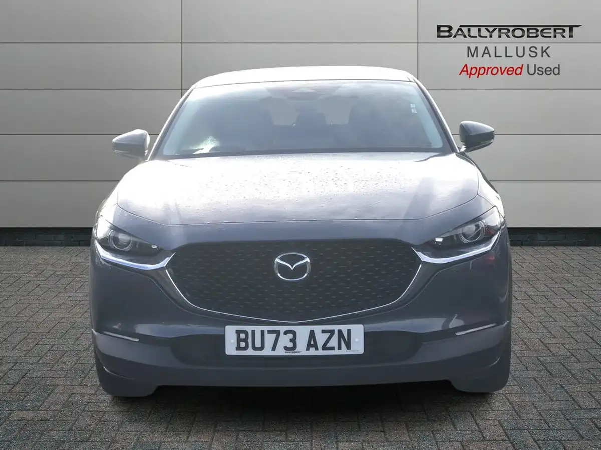 2024-mazda-cx-30-20-e-skyactiv-x-takumi-auto-big-9